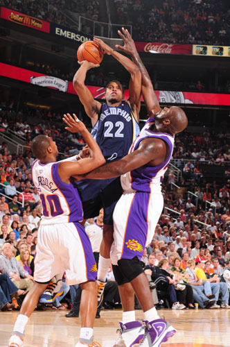 一只不起眼 一只不起眼