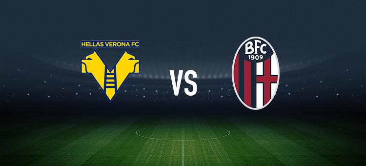 套进约基奇 套进约基奇